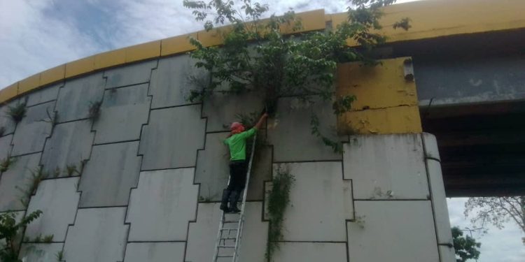 WhatsApp Image 2023 06 29 at 10.44.08 AM