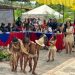 Ministro Ceballos arribó al Zulia para atender reunión con 5 pueblos indígenas tras el conflicto de los yukpa 10 arriban al zulia ministros de pueblos indigenas y de interior y justicia para atender situacion de l 7792