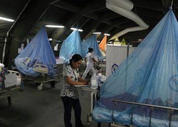crisis del dengue en peru ya deja mas de 168000 casos y cerca de 300 muertos 8279 1