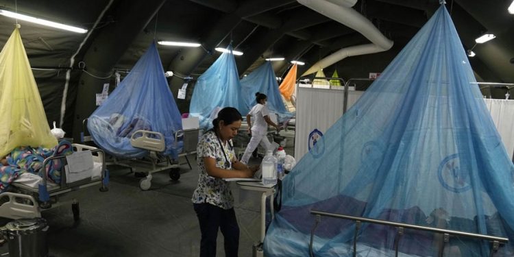 Cerca de 300 muertos y 168.000 casos de dengue se registran en Perú 1 crisis del dengue en peru ya deja mas de 168000 casos y cerca de 300 muertos 8279 1