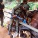 FANB desmantela nuevo campamento de minería ilegal en Amazonas y detiene a un implicado 12 fanb desmantela nuevo campamento de mineria ilegal en amazonas y detiene a un implicado 8080