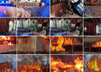 fanb destruye seis comercios ilegales en parque yapacana en amazonas 7920