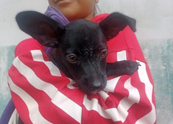 ffa257ed d34d 4125 a2e2 7ae22be55bbe 1