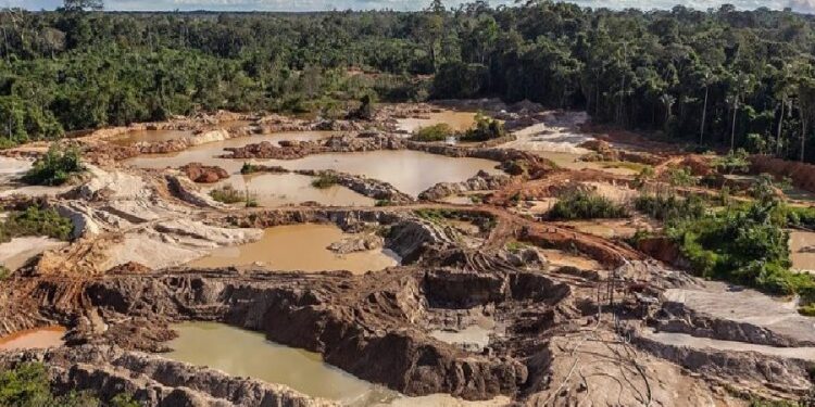 Más de 4 mil evacuados en zonas mineras de la Amazonía venezolana 1 mas de 4 mil evacuados en zonas mineras de la amazonia venezolana 8740