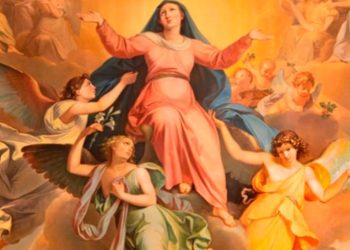 94091ae0 f32f 48f0 9836 09e3507b8c3b