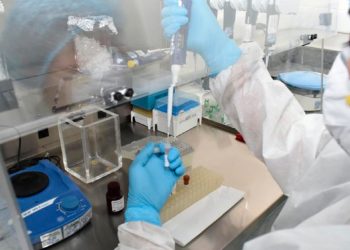 detectan primer caso de nueva variante omicron en ecuador 11063