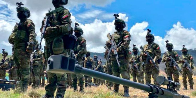 Ejecutivo nacional exhortó a la FANB a estar en alerta permanente 1 fanb 10256