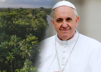 papa francisco 10141