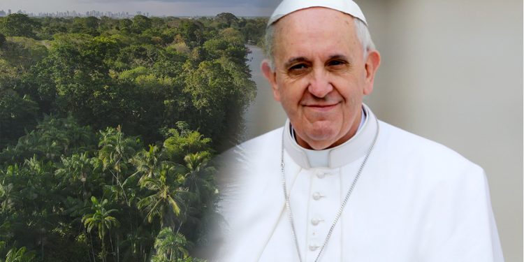 papa francisco 10141