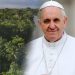 El papa reza "por el éxito" de la cumbre de la Amazonía 9 papa francisco 10141