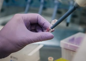 variante covid 19 10555