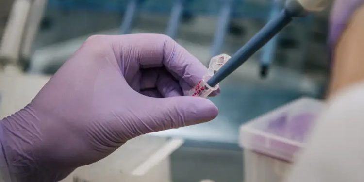 OMS y Estados Unidos vigilan una nueva variante de covid-19 1 variante covid 19 10555