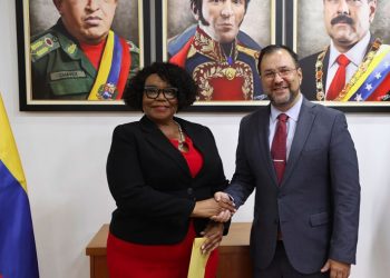 venezuela estrecha relaciones con gobierno y movimientos sociales de sudafrica 10924