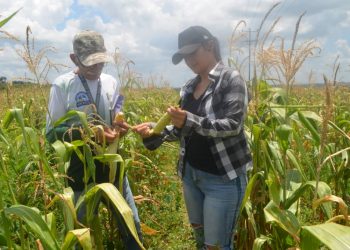 0f7e128b 8e9c 465c 89e5 9044ccedbf8e