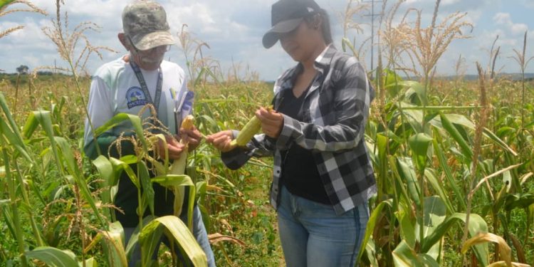 0f7e128b 8e9c 465c 89e5 9044ccedbf8e