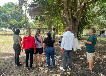 1fa21835 cd4b 4a9a bc61 c2a36652203f