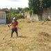 Inició en Monagas Plan de Saneamiento y Desmalezamiento en centros educativos 11 3239e63d 2da8 45ce 9644 9de914a4abd8