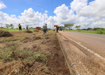 6c0c6e5c 607a 4121 b784 472b16e77417