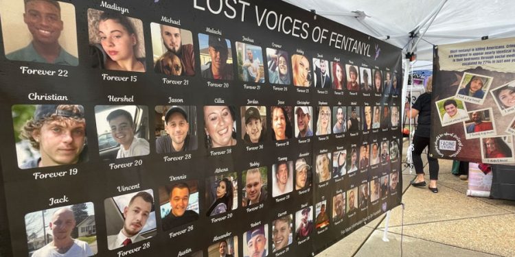 fentanilo ya supone 81 de las muertes por sobredosis en ny 12147