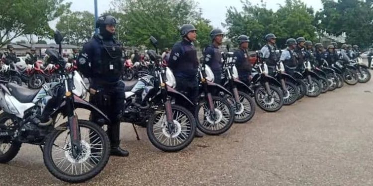 20a2cfb1 d09c 46c0 8b03 97d210c434aa