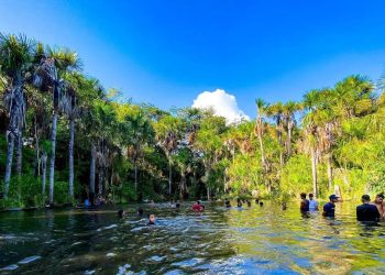 6f3beaf8 71c4 462a 99bf 92907b0433ea