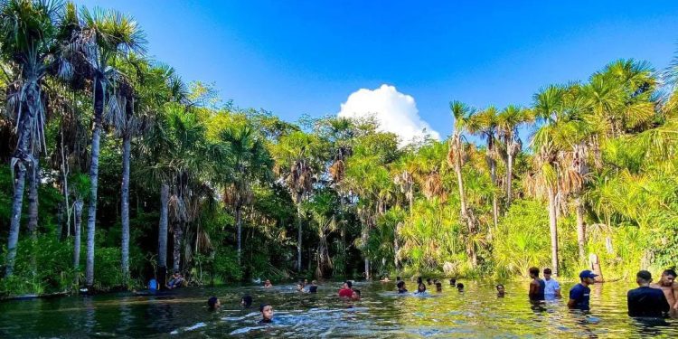 6f3beaf8 71c4 462a 99bf 92907b0433ea