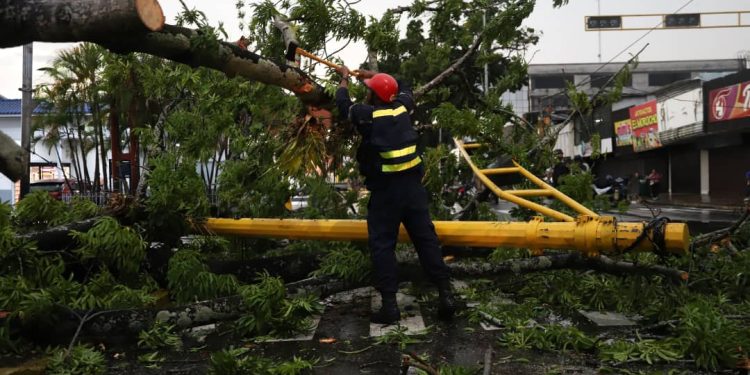 Alcaldesa Fuentes atiende al momento daños ocasionados por árbol caído en la Plaza 7 1 b07d1ee5 facf 47bd ae70 6360ce37e712