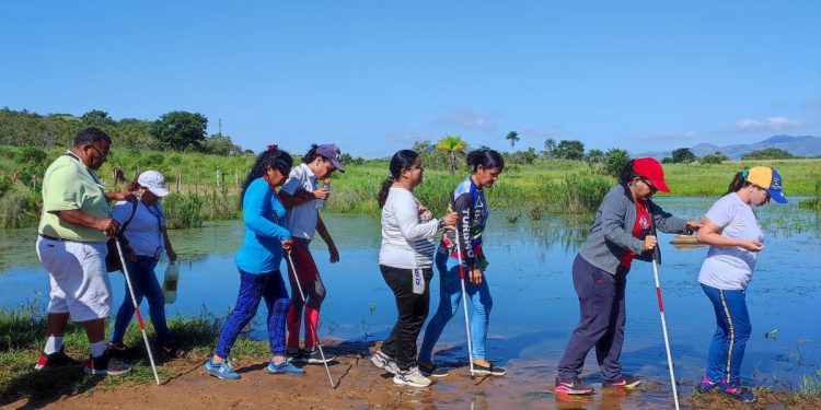 b61aa1cf 914a 4151 a7eb 7b61977d6e37