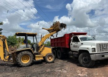 e7dfbe6d 74ef 4d74 8d74 8f573a470441