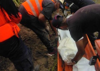 e8e6e3b0 3a11 4b00 ac48 39f47aeba58e