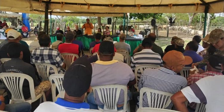 Pequeños y medianos productores reciben 5 mil vacunas contra la aftosa 1 3e25e974 a5a5 40a7 a2bb 4e6afc352127