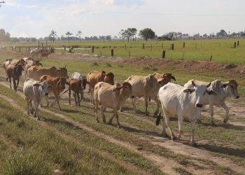 5d9d929a be5a 4f9d b69a 363b7180508d