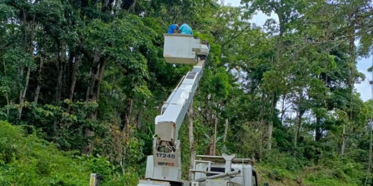 b5958510 be2e 42db b08b 62ff155abcd6