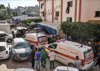 thumbs b c 3f5bf9265e3d682f6bd8f571f57db8ee