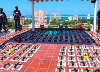 incautados 170 kilos de presunta marihuana en la guaira 15458