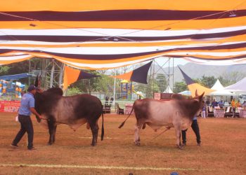 WhatsApp Image 2023 03 20 at 17.05.52 1024x682 1