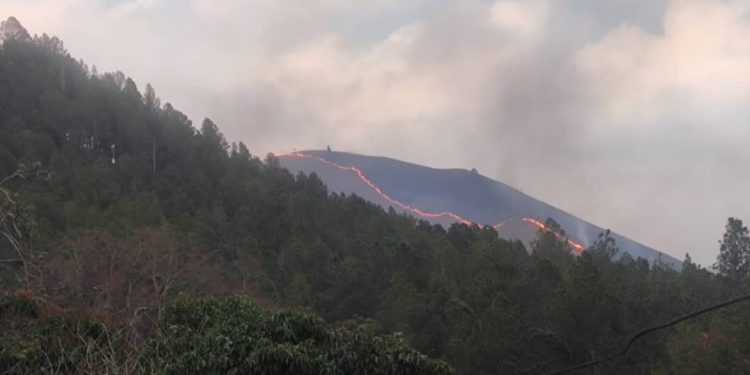 Controlan incendio en Caripe 1 IMG 20240321 WA0434