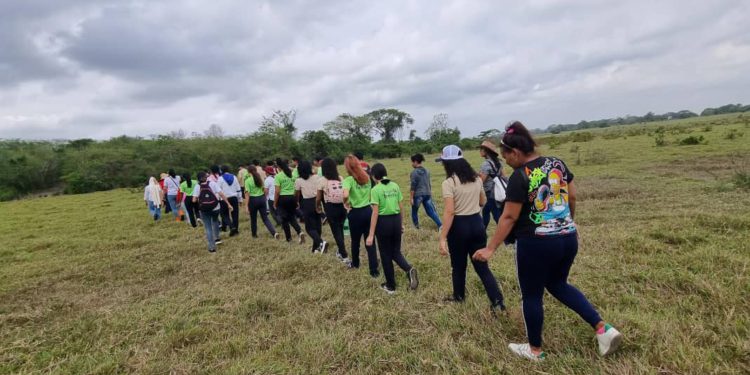 0a41c862 f4b0 4b06 a576 db15ffed5a61