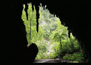 UD noticias24hrs 3510171388111793960 1557164184 27 11 2024 edited