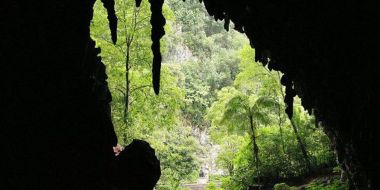 Mintur ha validado al menos 10 rutas turísticas en Monagas 1 UD noticias24hrs 3510171388111793960 1557164184 27 11 2024 edited