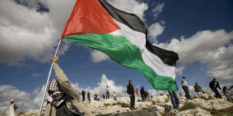 Hoy se conmemora el Día Internacional de Solidaridad con Palestina 1 image 14