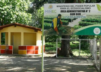 IMG 20250226 WA02101