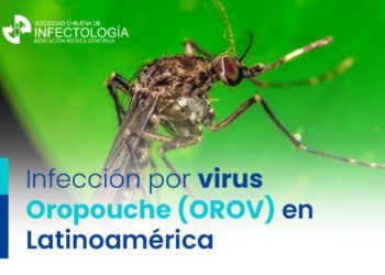 Oropuche SOCHINF 768x513 1