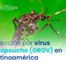 Ministerio de Salud en Venezuela informa a la población la detección oportuna del Virus Oropouche 9 Oropuche SOCHINF 768x513 1