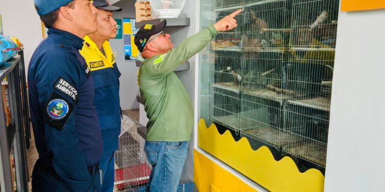 Decomisan en Venezuela más de mil ejemplares de fauna silvestre en 124 operativos de fiscalización 1 IMG 20250618 WA0168