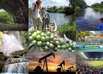 IMG 20250802 WA03071