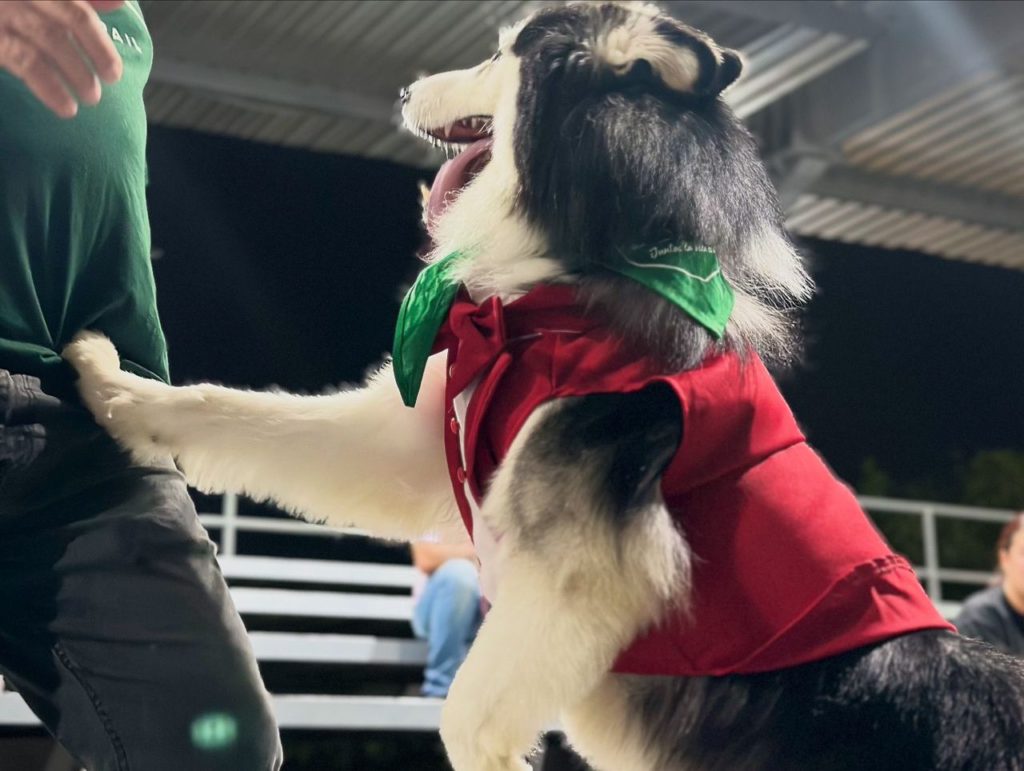 Instituto de Protección Animal promovió la tenencia responsable y el bienestar animal en la “Expo Mascotas del Lago" 4 1000970889 1