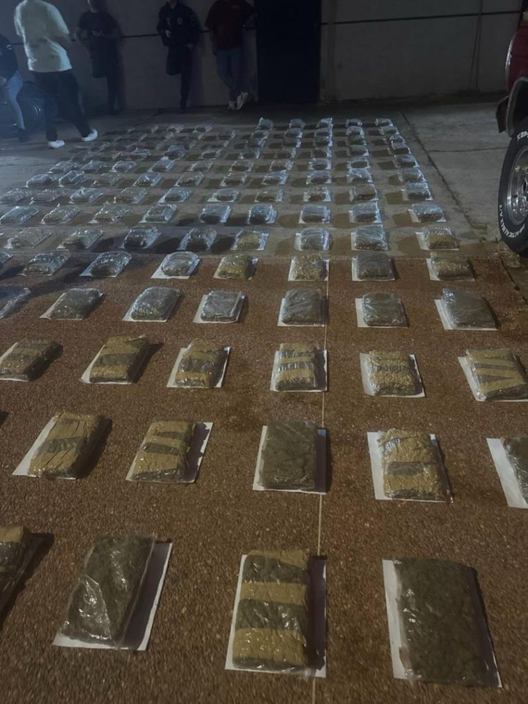 Incautados 380 gramos de marihuana en el estado Zulia 2 1000975294