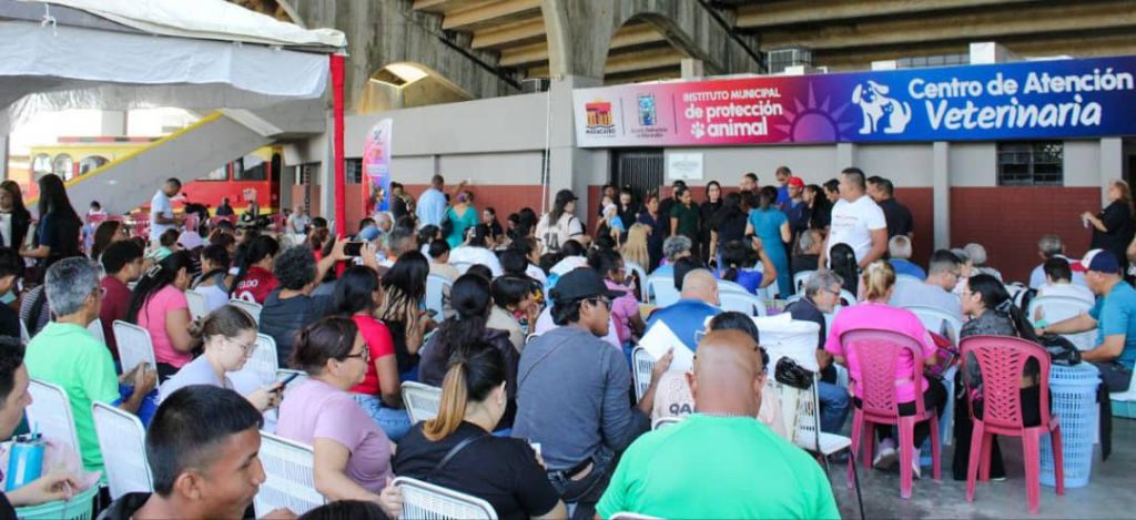 Amor y cuidado por los animales promueve "Castralat" con esterilización de 258 mascotas en jornada especial 2 1000995327