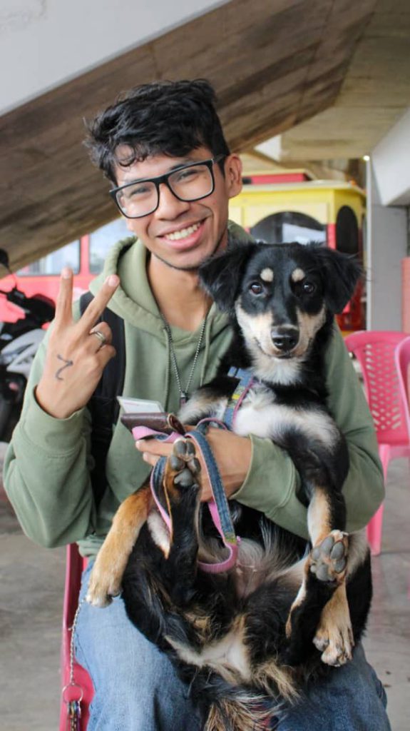 Amor y cuidado por los animales promueve "Castralat" con esterilización de 258 mascotas en jornada especial 4 1000995328